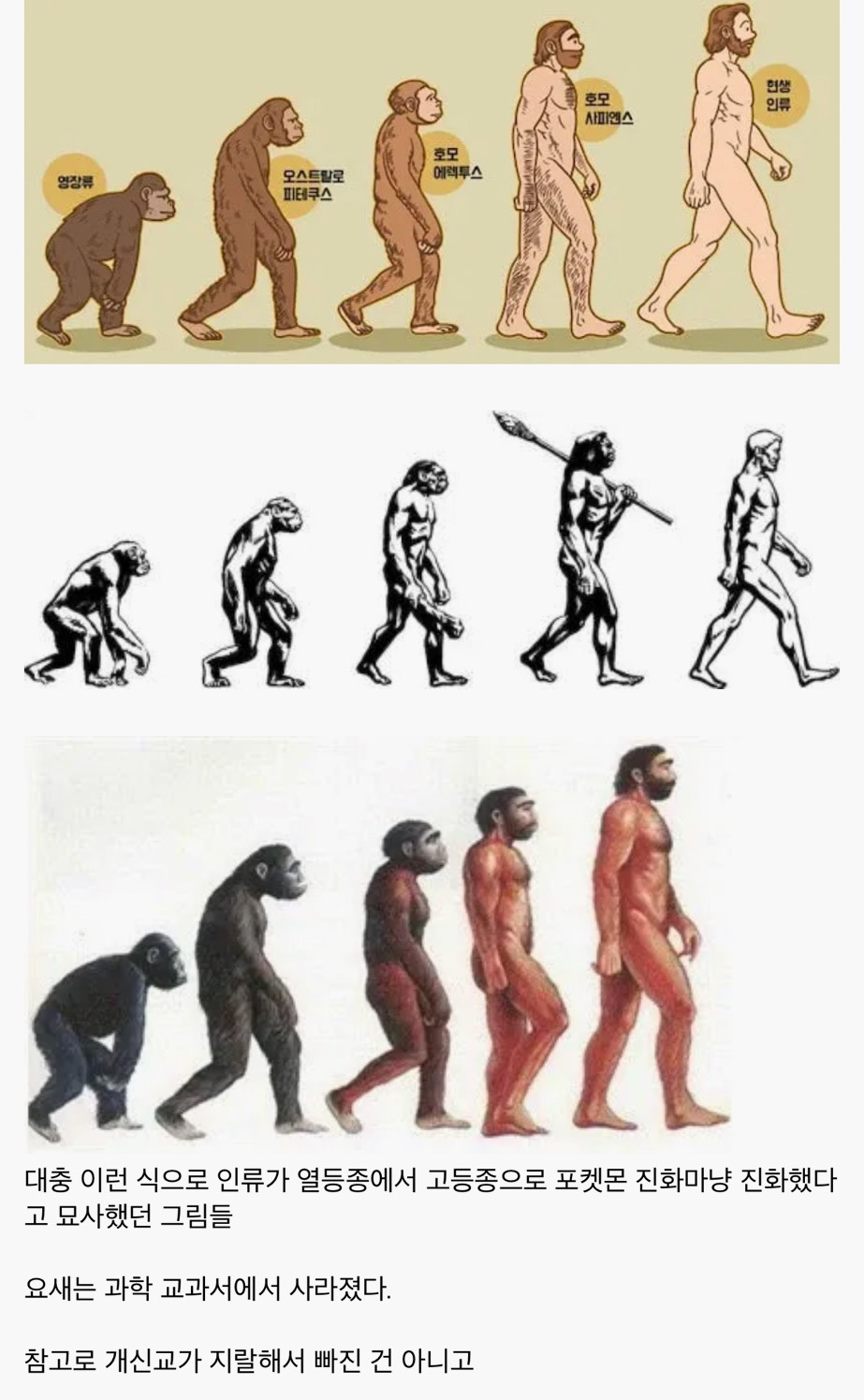요즘-교과서에서-사라진-인류-진화-그림.jpg-0-이미지