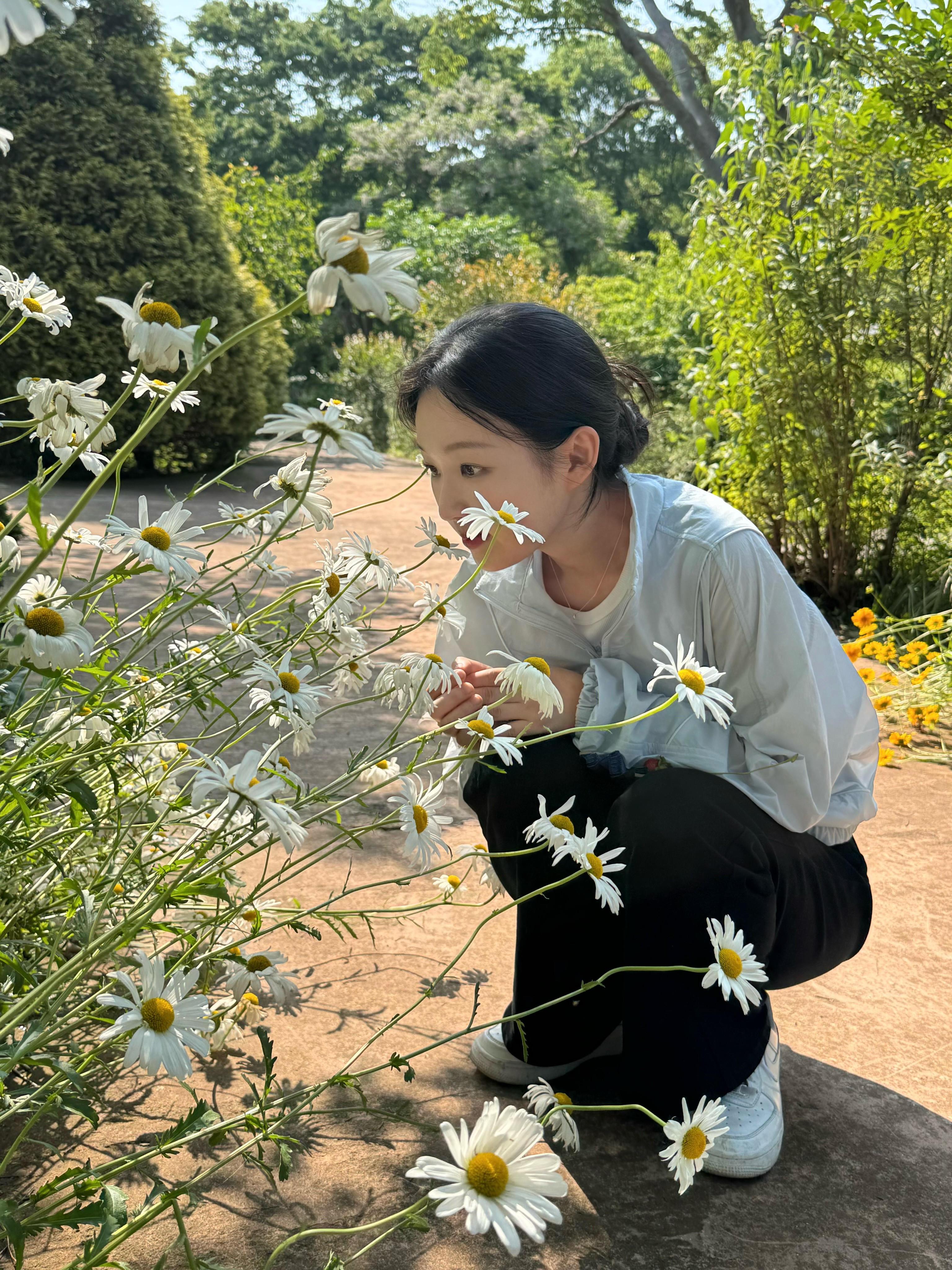 아기맹수-김시현-셰푸-근황.jpg-6-이미지