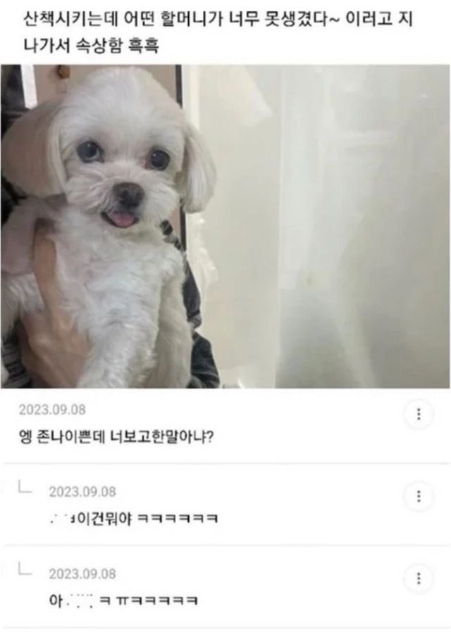 산책시키는데-어떤할머니가-너무-못생겼다~-이러고-지나가서-속상함-흑흑-0-이미지