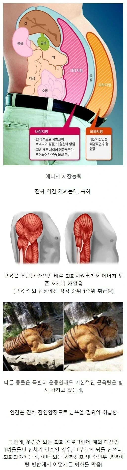 인간이-가진-S급-능력.JPG-0-이미지
