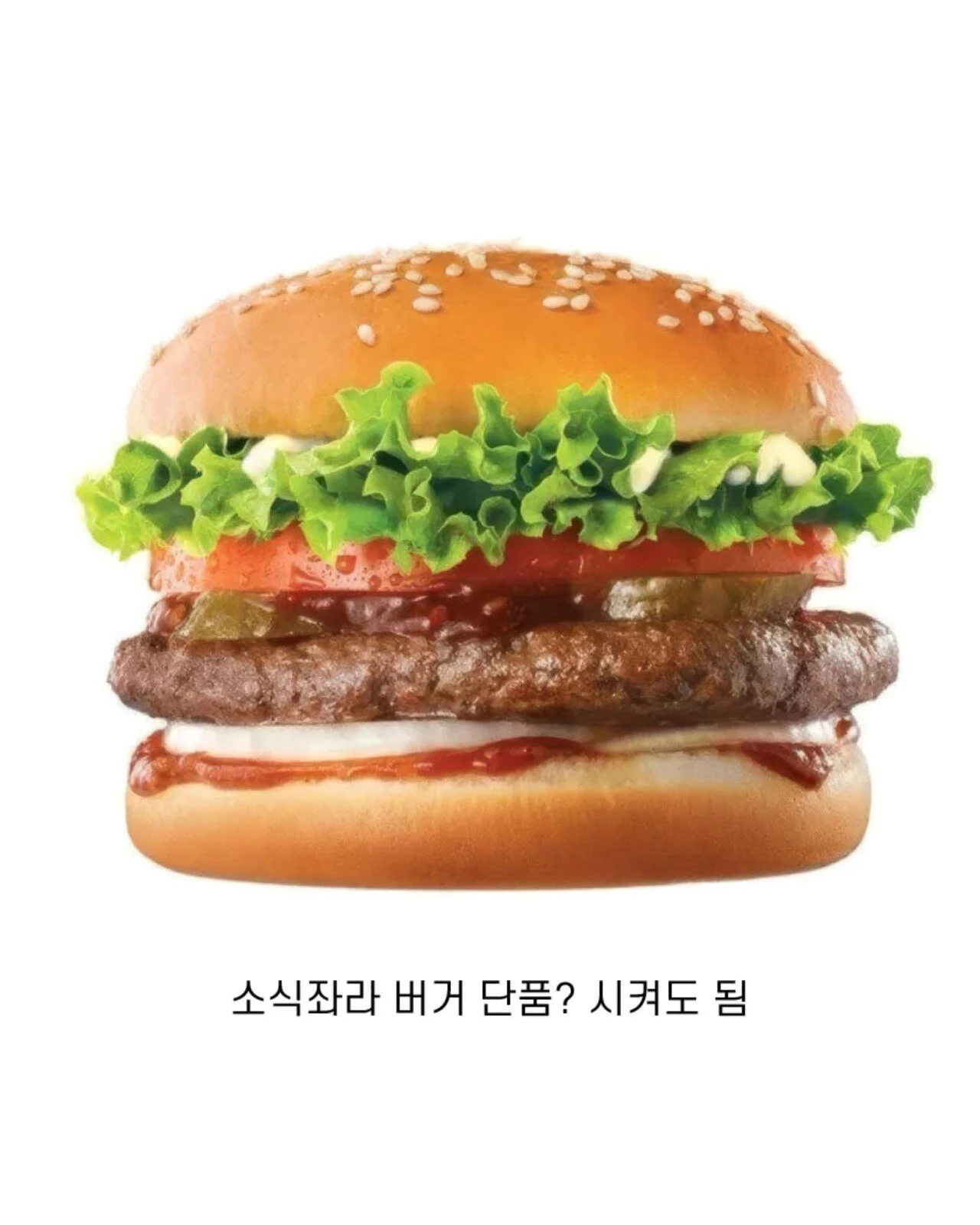 햄버거-가게들이-더-잘-될-수밖에-없는-이유-0-이미지