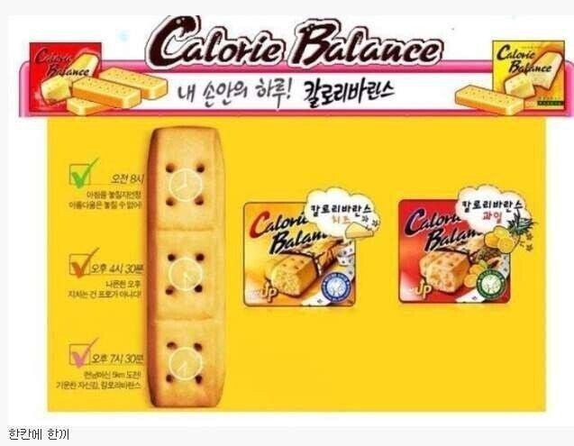 칼로리-바란스의-충격적인-비밀-0-이미지