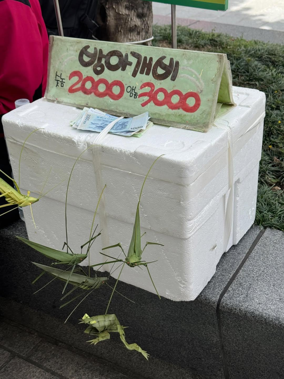 남포동에서-금손-할아버지가-만든-방아깨비-1-이미지