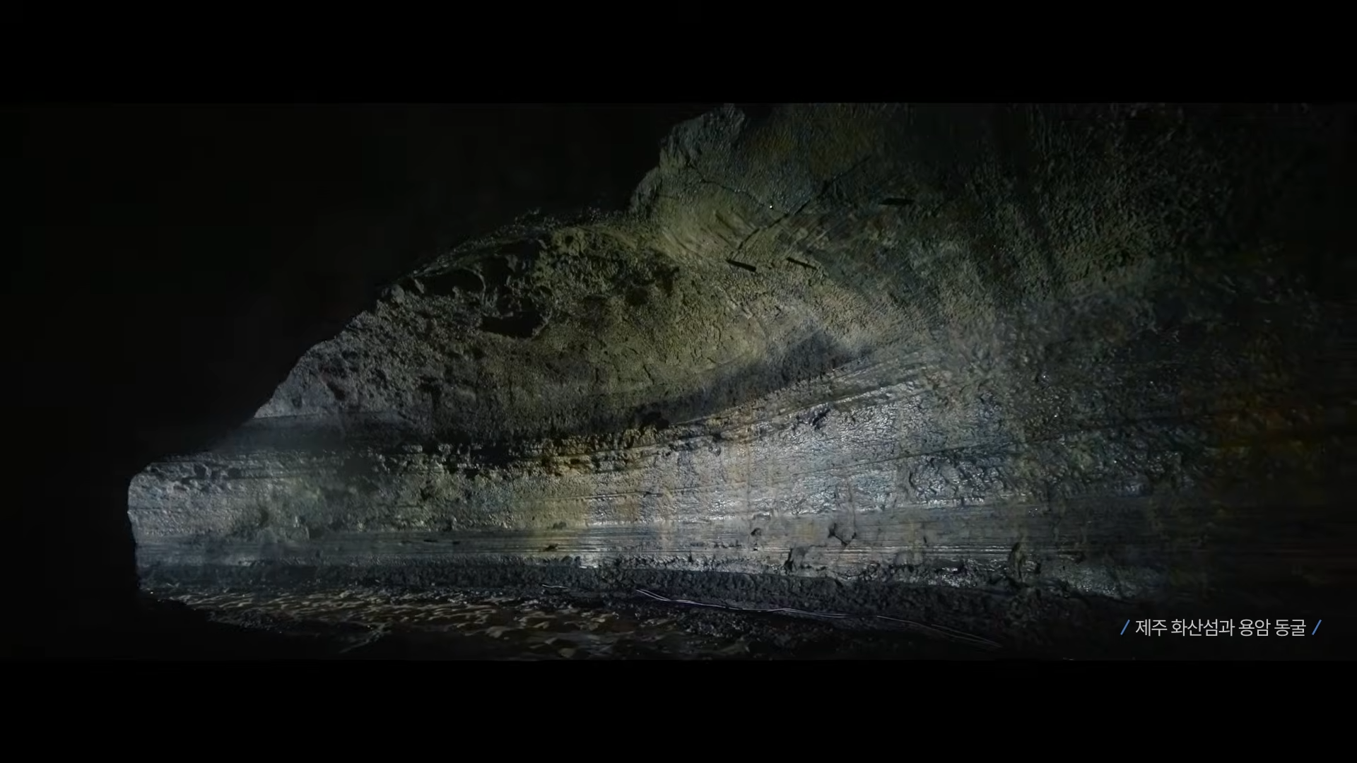 7월에-부산에서-열리는-빅-이벤트-8-이미지