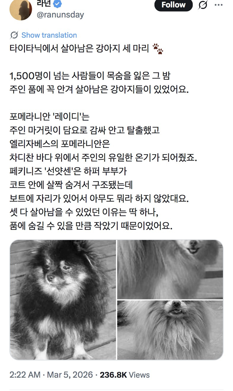 타이타닉에서-살아남은-강아지-세-마리-🐾-0-이미지