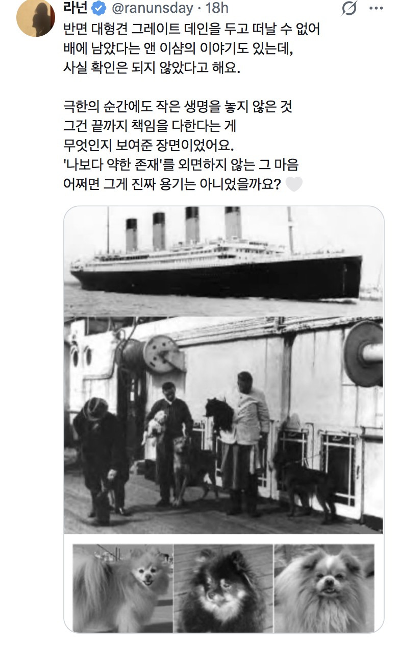 타이타닉에서-살아남은-강아지-세-마리-🐾-4-이미지