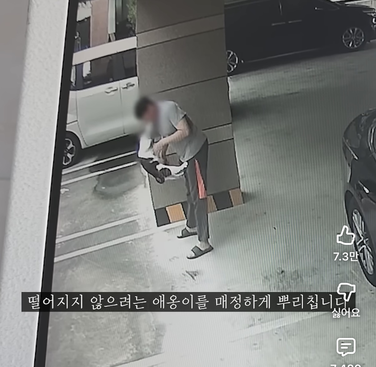 버려졌지만-필사적으로-살아남은-고양이-0-이미지