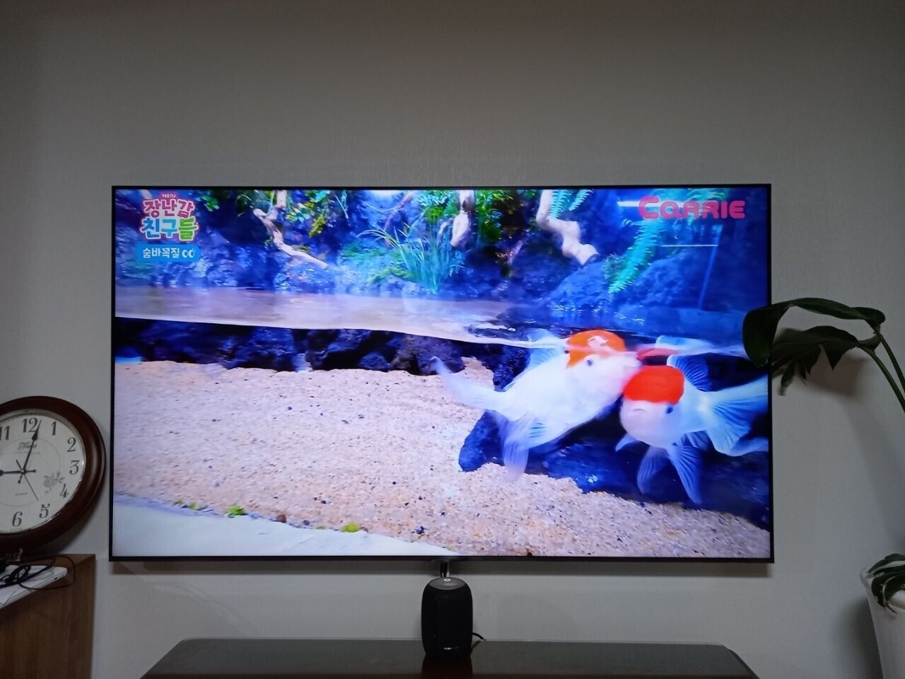 그룹홈에-1500만원-전자제품-기부하기-와-그-후기-21-이미지