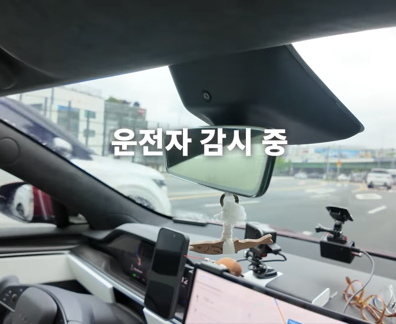 대리기사-불러도-자율주행으로-가는-유연석네-테슬라-20-이미지