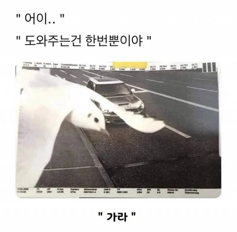 도와주는-건-한-번뿐이야-0-이미지
