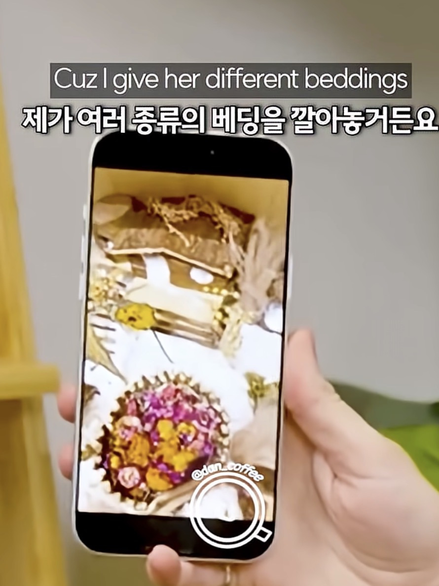 백만장자에게-입양된-유기햄스터-2-이미지