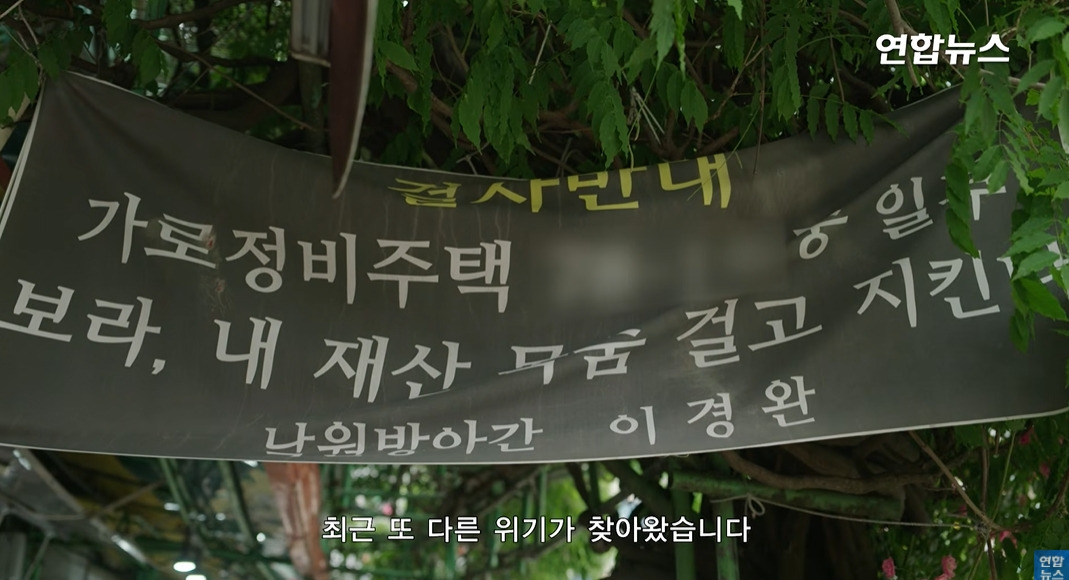 방앗간-사장님이-목숨걸고-지키는-고목나무-69-이미지