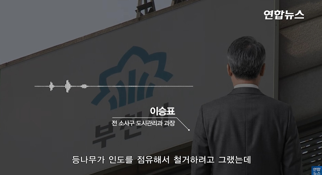 방앗간-사장님이-목숨걸고-지키는-고목나무-58-이미지