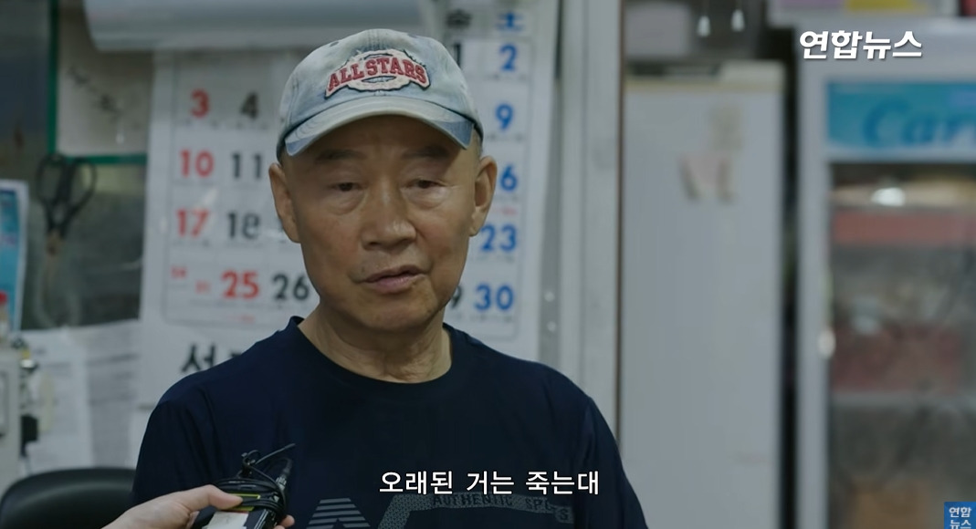 방앗간-사장님이-목숨걸고-지키는-고목나무-90-이미지