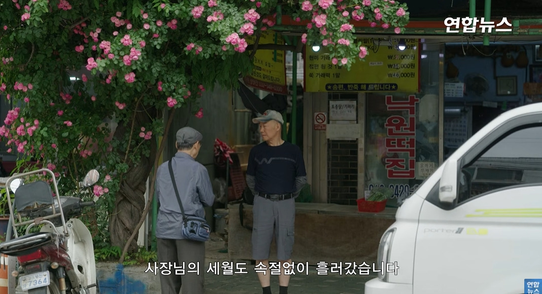 방앗간-사장님이-목숨걸고-지키는-고목나무-95-이미지