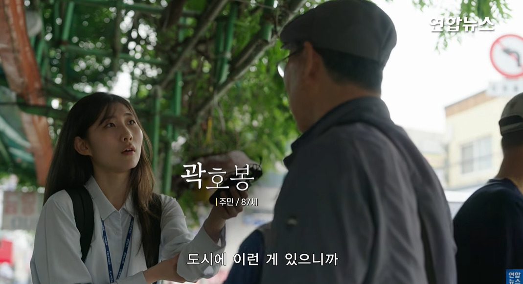 방앗간-사장님이-목숨걸고-지키는-고목나무-21-이미지