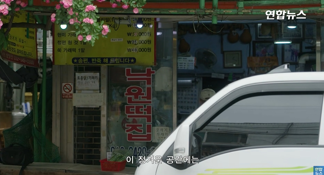 방앗간-사장님이-목숨걸고-지키는-고목나무-15-이미지