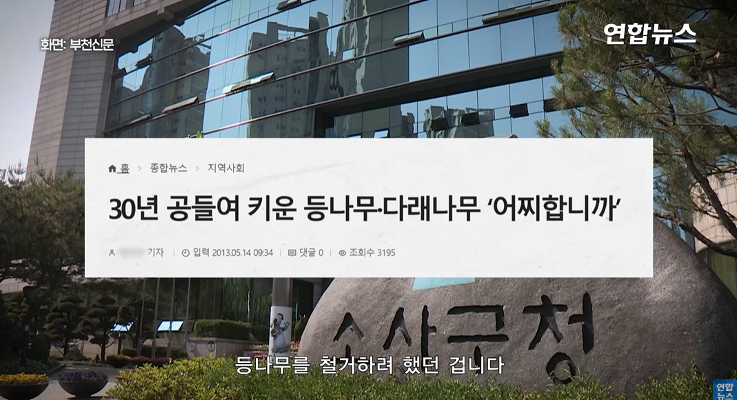 방앗간-사장님이-목숨걸고-지키는-고목나무-54-이미지