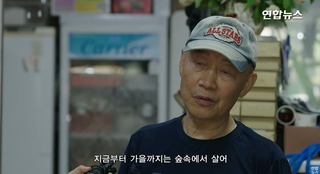 방앗간-사장님이-목숨걸고-지키는-고목나무-45-이미지