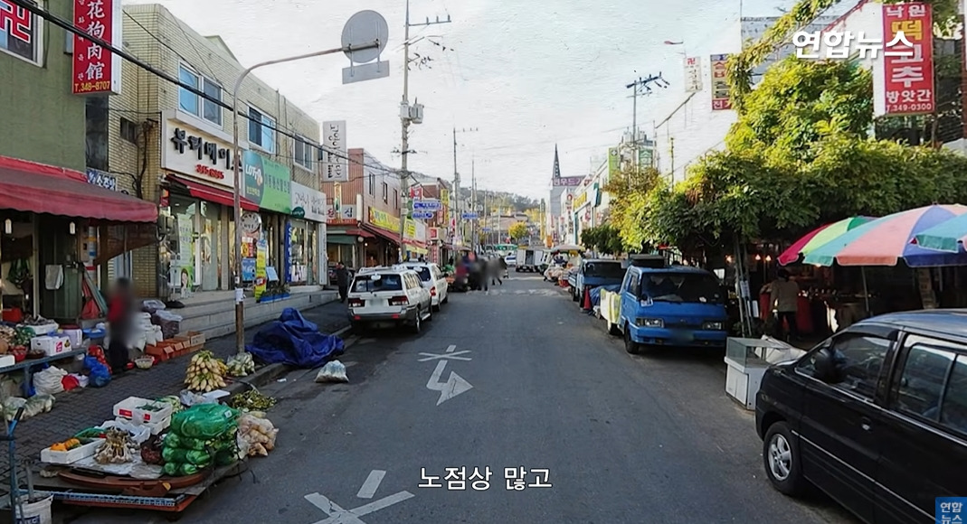 방앗간-사장님이-목숨걸고-지키는-고목나무-56-이미지