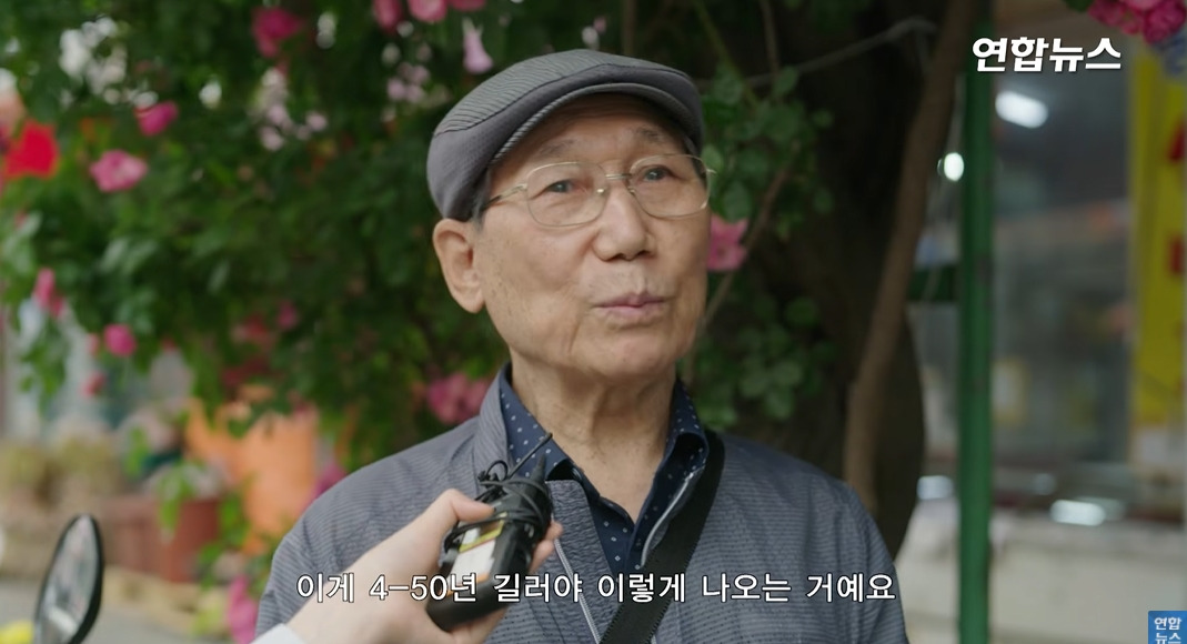 방앗간-사장님이-목숨걸고-지키는-고목나무-91-이미지