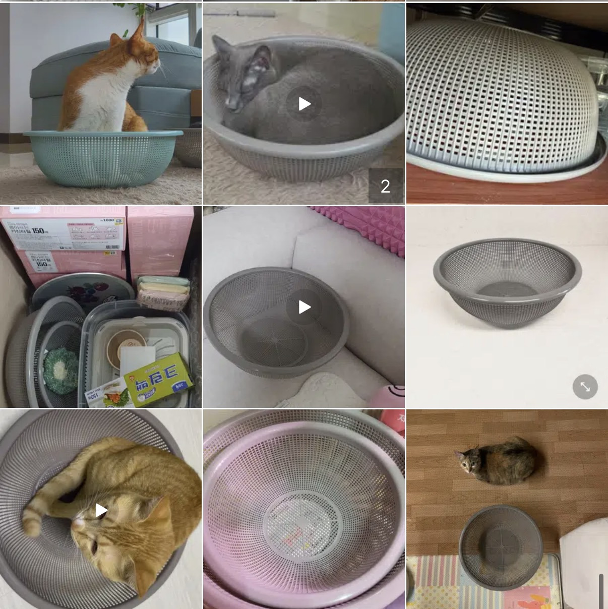 다이소-1000원-소쿠리-후기.jpg-5-이미지