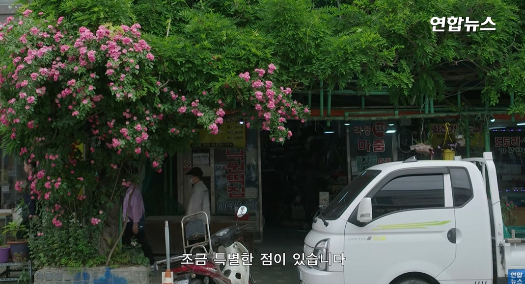 방앗간-사장님이-목숨걸고-지키는-고목나무-16-이미지