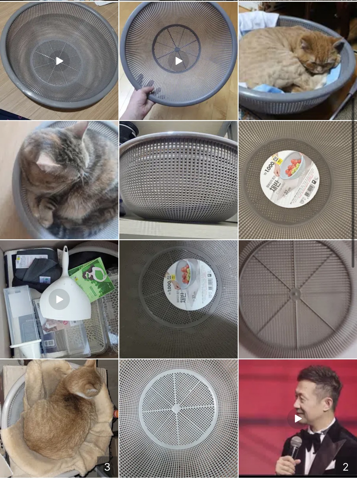 다이소-1000원-소쿠리-후기.jpg-4-이미지
