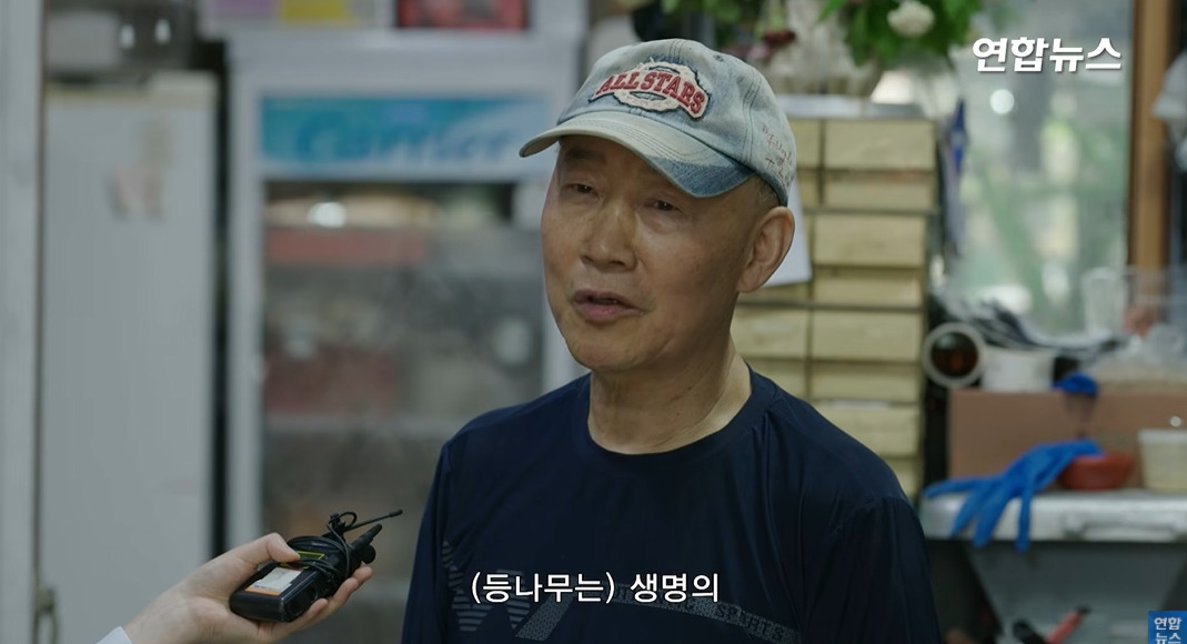 방앗간-사장님이-목숨걸고-지키는-고목나무-48-이미지