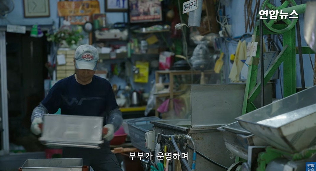 방앗간-사장님이-목숨걸고-지키는-고목나무-11-이미지