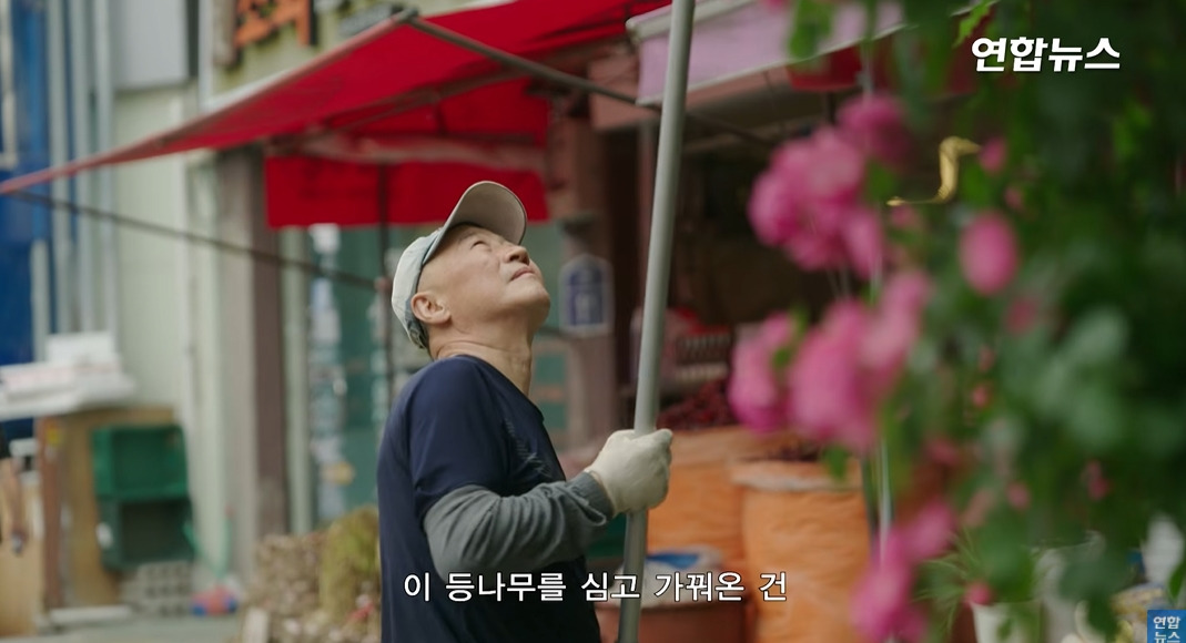 방앗간-사장님이-목숨걸고-지키는-고목나무-25-이미지