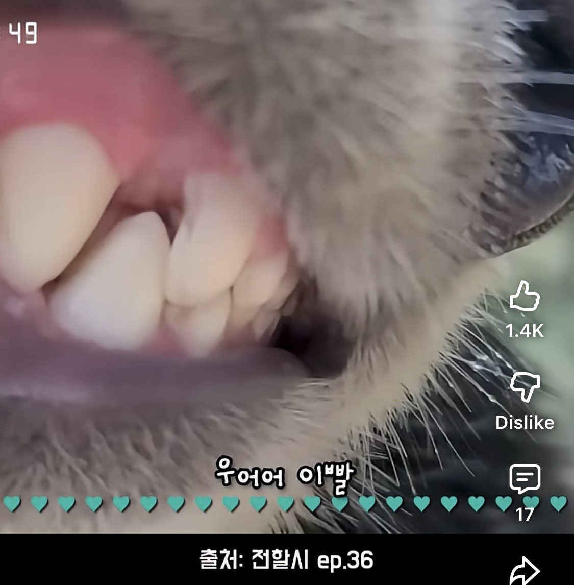 진짜-순했던-푸바오-0-이미지