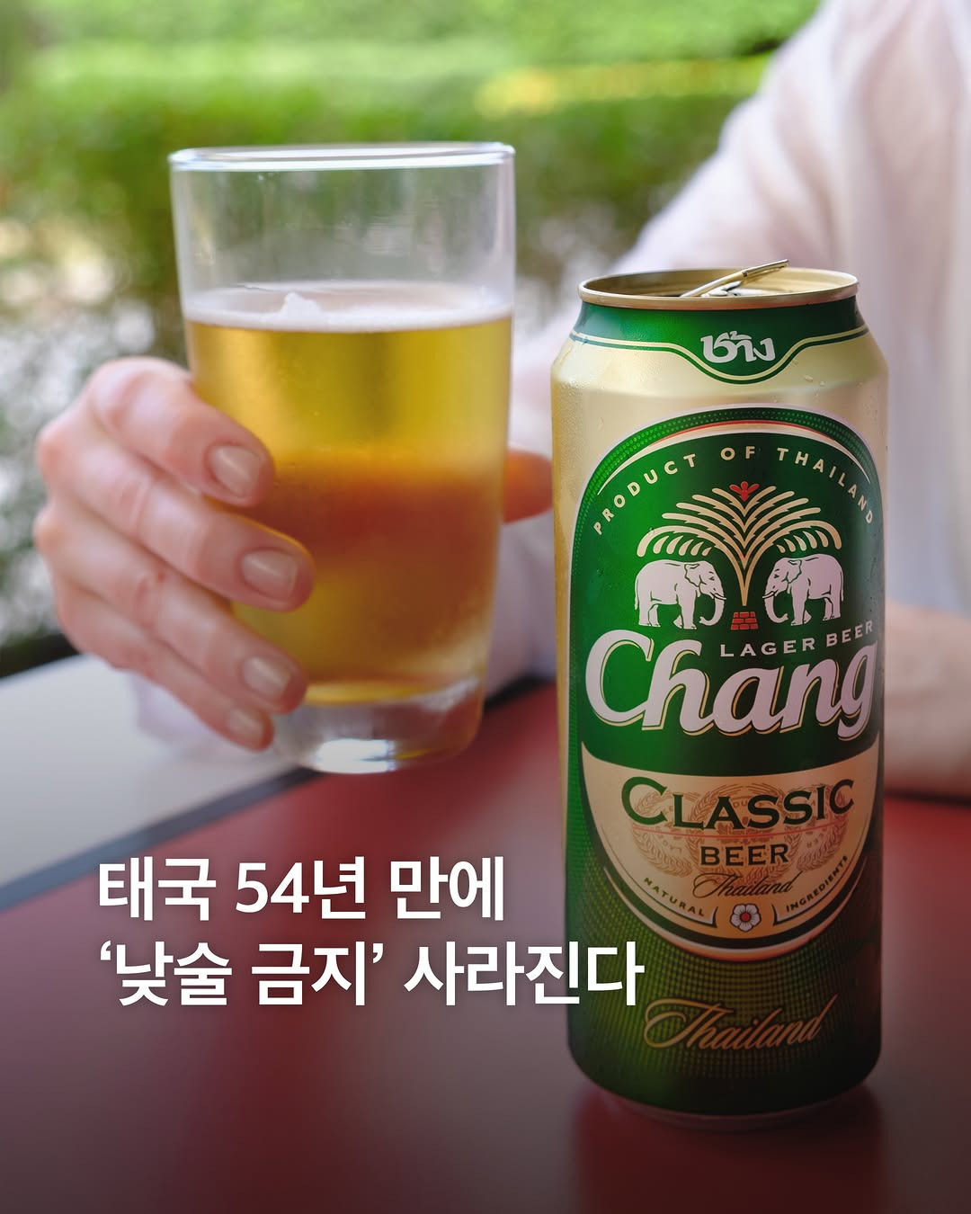 태국-54년-만에-'낮술-금지'-사라진다-0-이미지