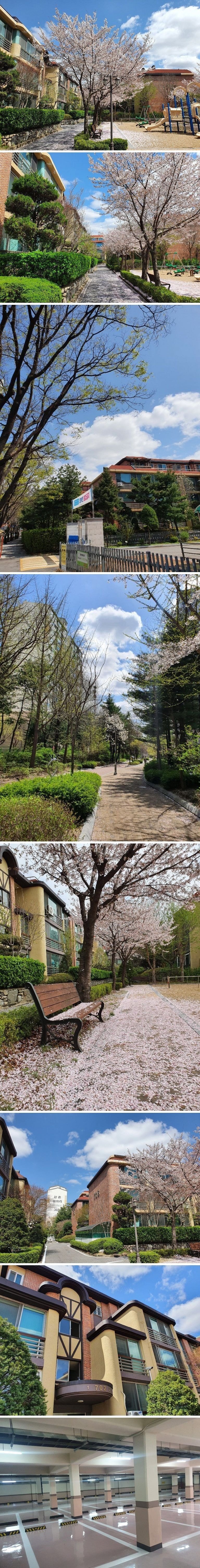 일산-분당-초기에-지어졌다는-빌라단지..jpg-0-이미지