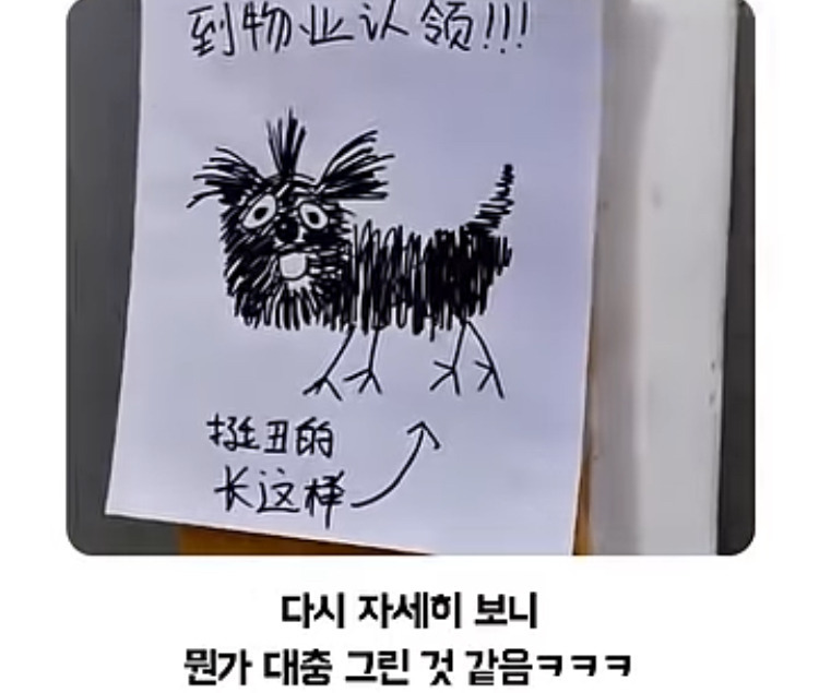 이-강아지-주인은-찾아가시오.jpg-1-이미지