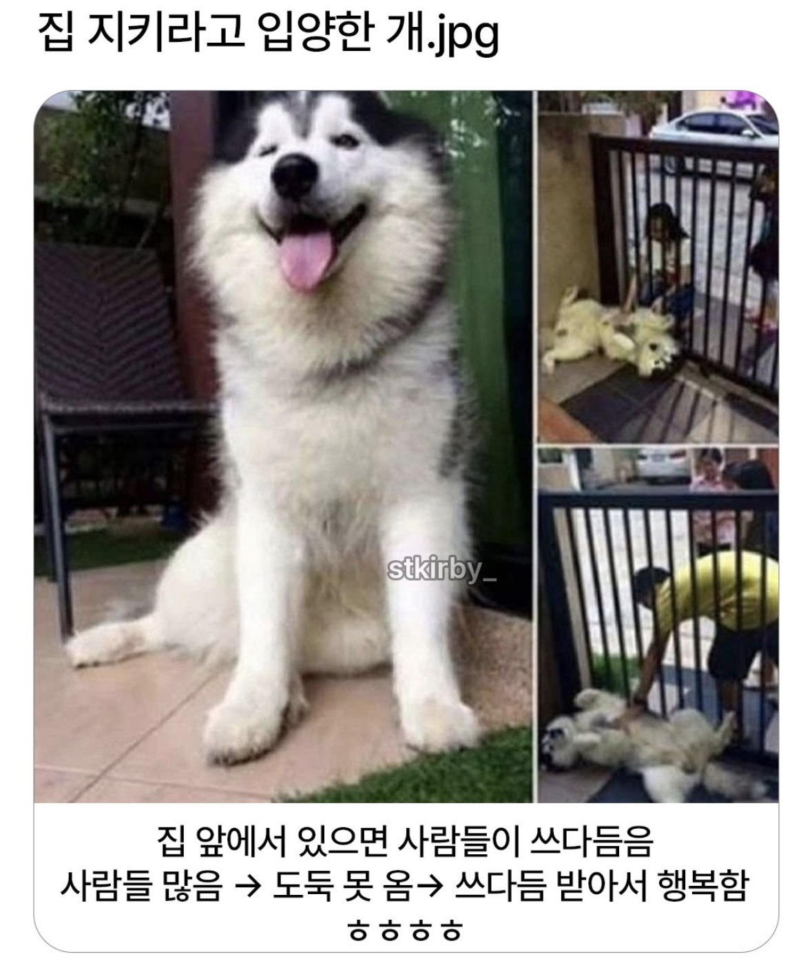 집-지키라고-입양했는데...-1-이미지