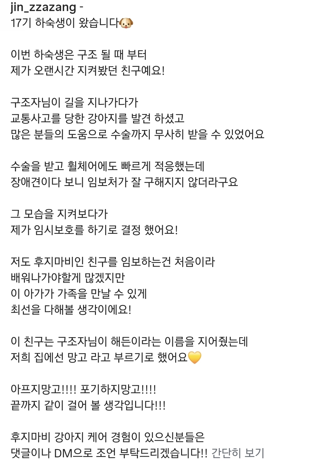 후지마비-장애-강아지-임보-시작한-유튜버-(짜장이네)-4-이미지
