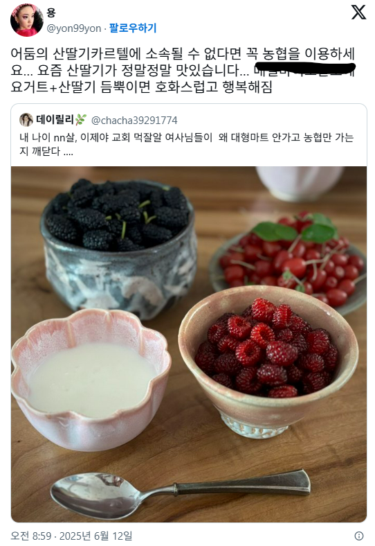 어둠의-산딸기카르텔에-소속될-수-없다면-꼭-농협을-이용하세요...-0-이미지