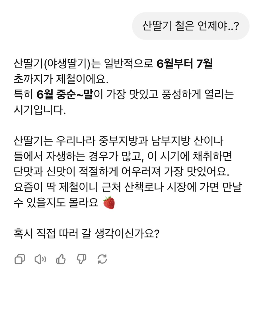 지금-빨리-산딸기-드세요-5-이미지