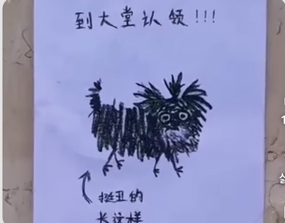 이-강아지-주인은-찾아가시오.jpg-0-이미지