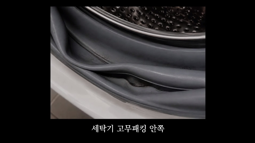 집안-곰팡이가-치매-유발한다는거-알았어?-31-이미지