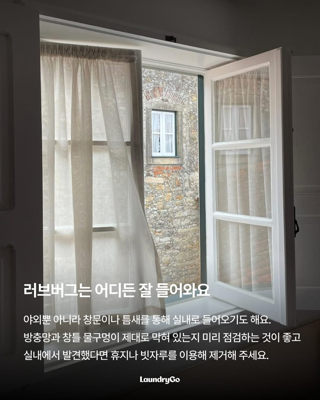 두근두근-러브버그의-취향-5-이미지
