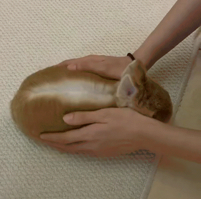 뚜레쥬르-마담얼그레이크림번-1-이미지