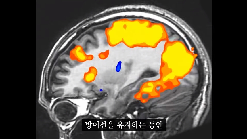 집안-곰팡이가-치매-유발한다는거-알았어?-28-이미지