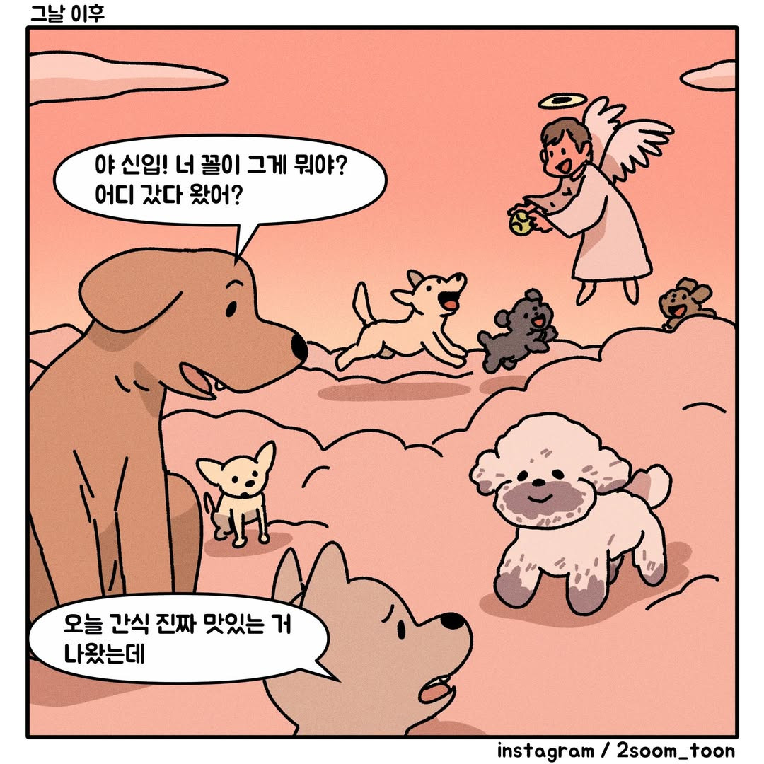 펫로스-증후군을-겪는-엄마가-걱정돼요-1-이미지
