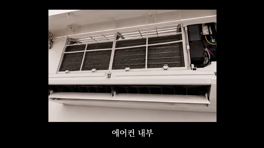 집안-곰팡이가-치매-유발한다는거-알았어?-33-이미지