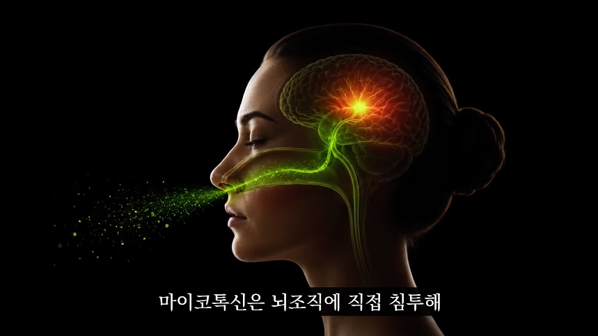 집안-곰팡이가-치매-유발한다는거-알았어?-57-이미지