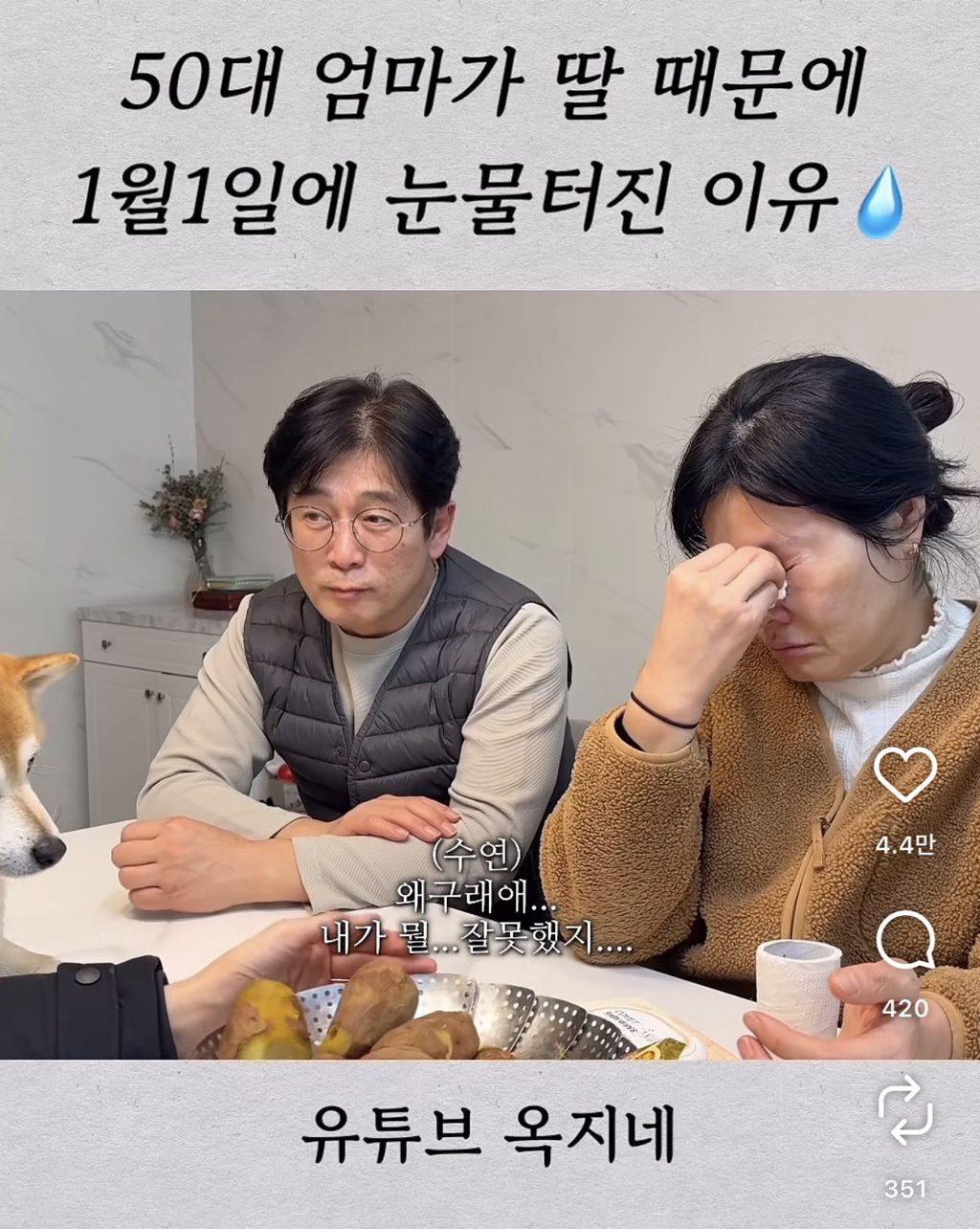 엄마가-해준-김치찜-그대로-들고-온-딸-2-이미지