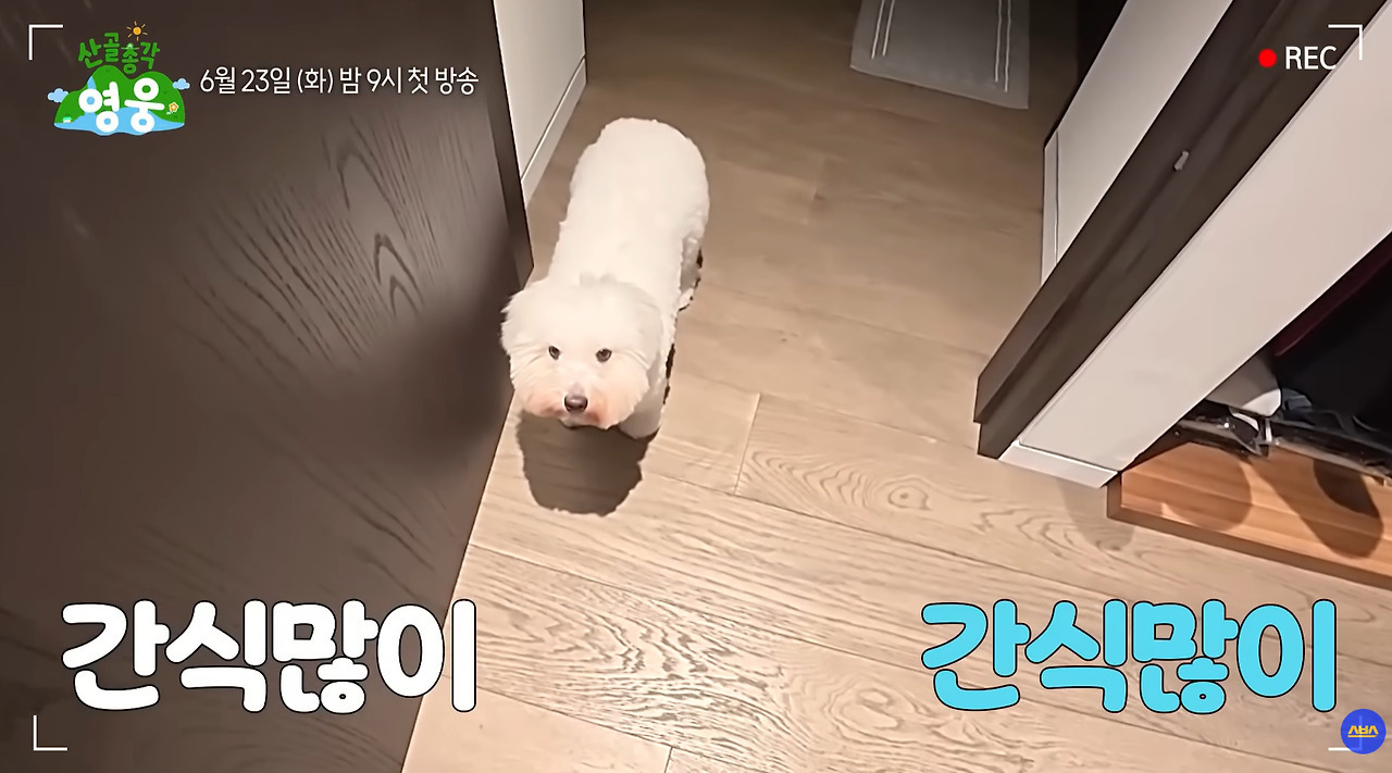 사람-사는거-다-똑같다는-임영웅-집-옷장.jpg-14-이미지