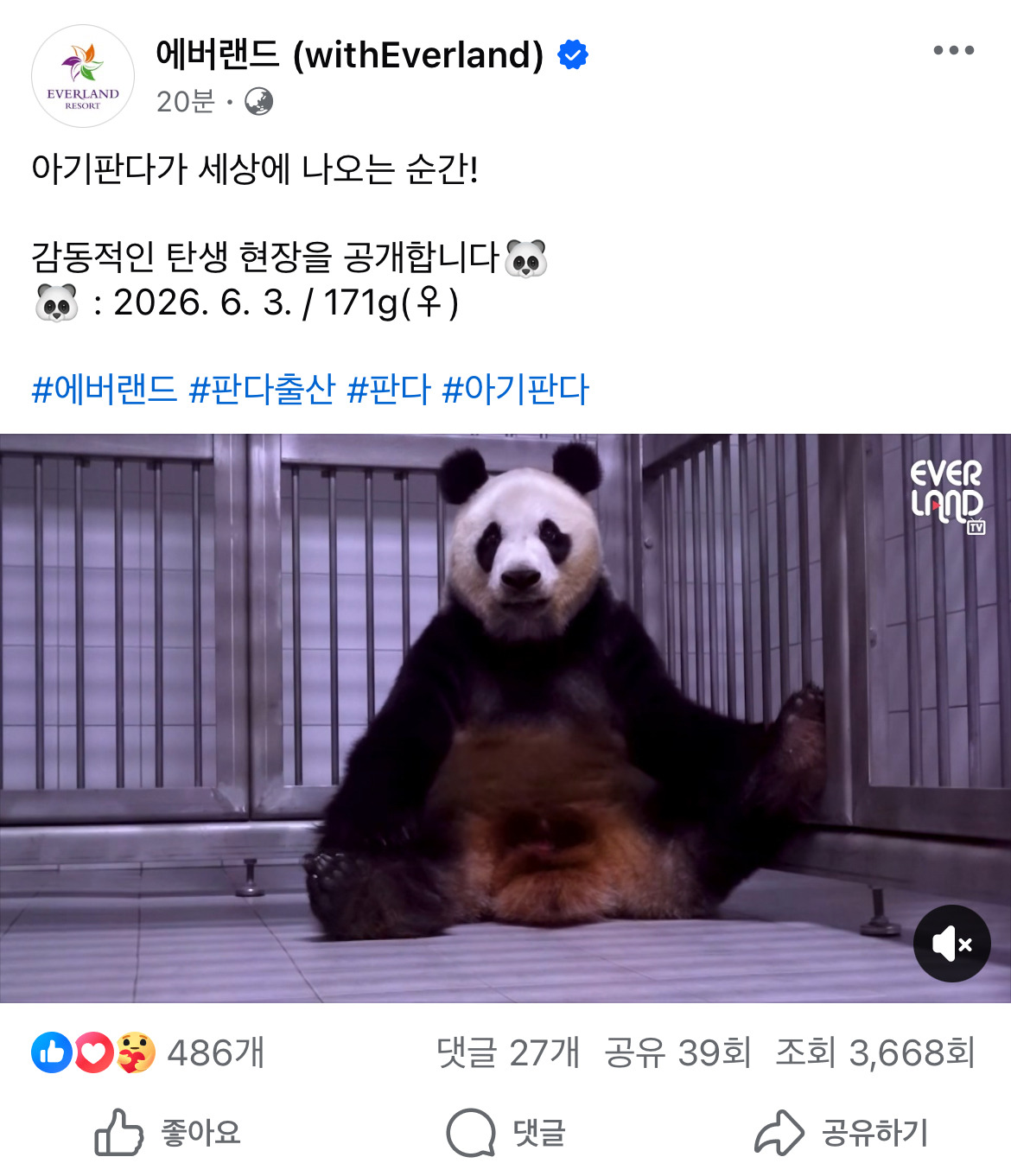 [오피셜]-아이바오-넷째딸-출산-0-이미지